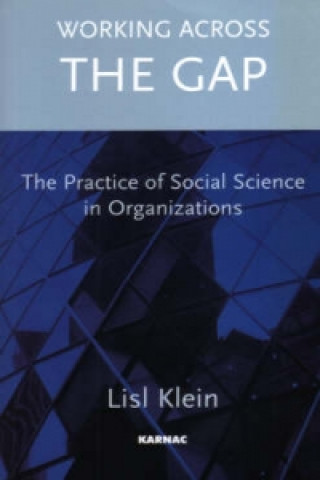 Könyv Working Across the Gap Lisl Klein