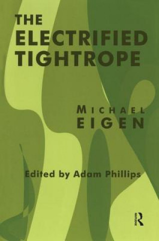 Könyv Electrified Tightrope Michael Eigen