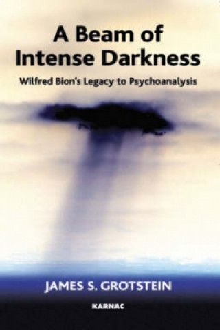 Könyv Beam of Intense Darkness James S. Grotstein