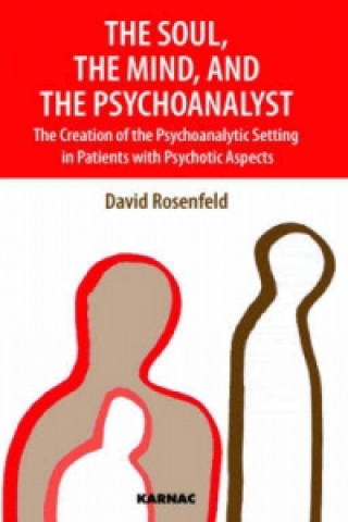 Carte Soul, the Mind, and the Psychoanalyst David Rosenfeld