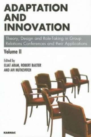 Livre Adaptation and Innovation Eliat Aram