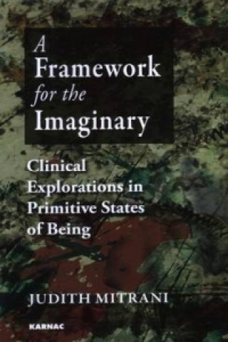 Knjiga Framework for the Imaginary Judith L. Mitrani