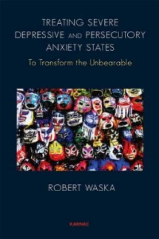 Knjiga Treating Severe Depressive and Persecutory Anxiety States Robert Waska