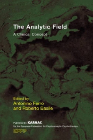 Knjiga Analytic Field Roberto Basile