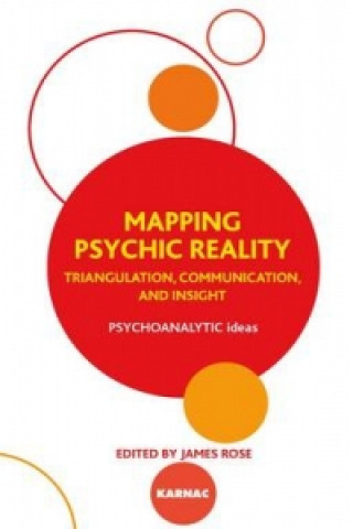 Könyv Mapping Psychic Reality 