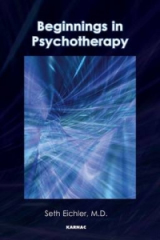 Könyv Beginnings in Psychotherapy Seth Eichler