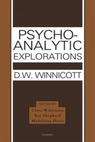 Kniha Psycho-Analytic Explorations D W Winnicott