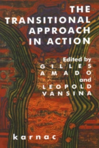 Книга Transitional Approach in Action Gilles Amado