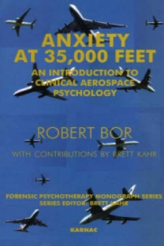 Könyv Anxiety at 35,000 Feet Robert Bor