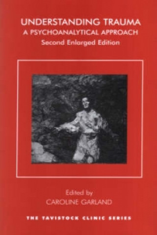 Buch Understanding Trauma Caroline Garland