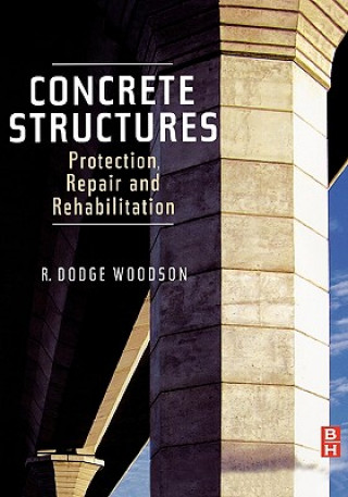 Kniha Concrete Structures Roger D. Woodson