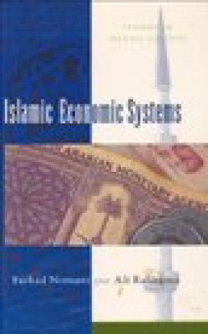 Könyv Islamic Economic Systems Ali Rahnema