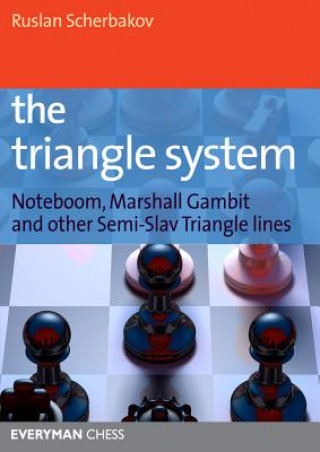 Kniha Triangle System Ruslan Scherbakov