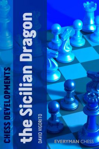 Könyv Chess Developments: The Sicilian Dragon David Vigorito