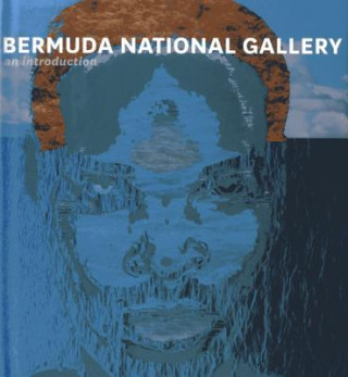 Könyv Bermuda National Gallery: An Introduction Lisa Howie