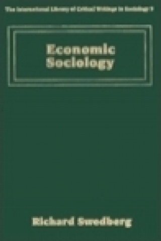 Книга Economic Sociology 