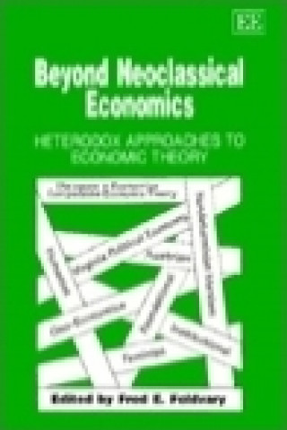 Kniha Beyond Neoclassical Economics 