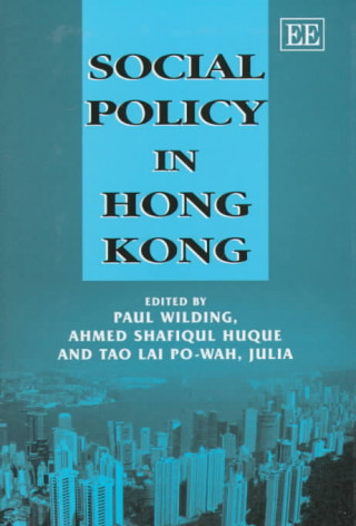 Książka Social Policy in Hong Kong 
