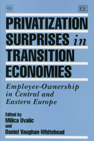 Kniha Privatization Surprises in Transition Economies 