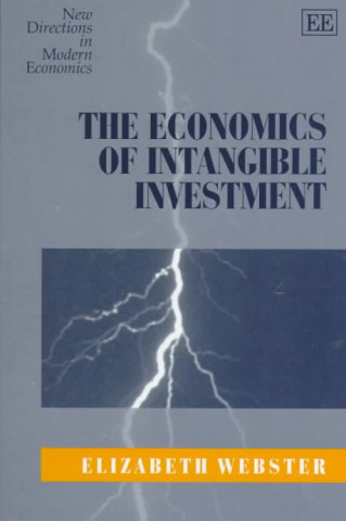 Kniha Economics of Intangible Investment Elizabeth Webster