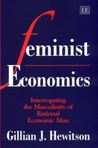 Buch Feminist Economics Gillian J. Hewitson