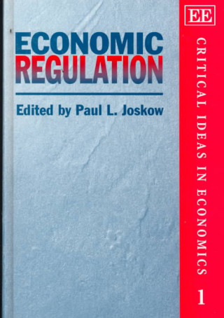 Kniha Economic Regulation 