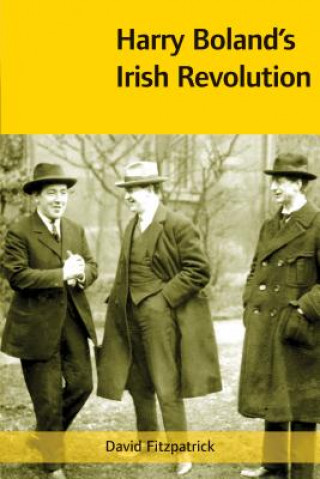 Kniha Harry Boland's Irish Revolution David Fitzpatrick