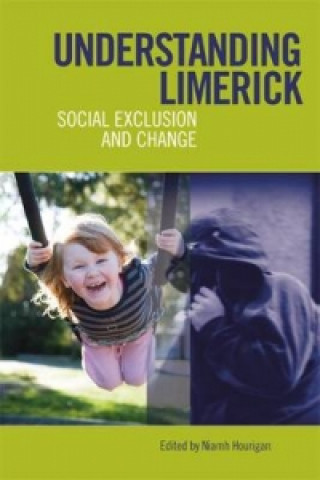 Könyv Understanding Limerick Niamh Hourigan