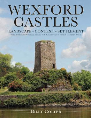 Könyv Wexford Castles Billy Colfer