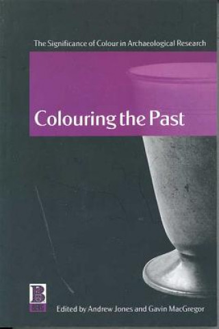 Buch Colouring the Past Andrew Jones