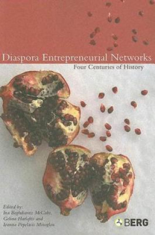 Kniha Diaspora Entrepreneurial Networks 