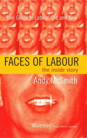 Kniha Faces of Labour Andy McSmith