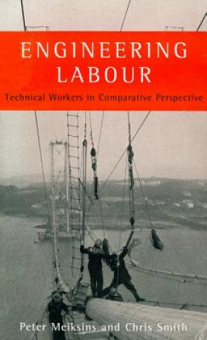 Knjiga Engineering Labour Peter Meiksins