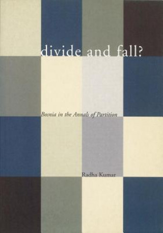 Kniha Divide and Fall? Radha Kumar