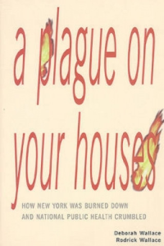 Buch Plague on Your Houses Deborah Wallace