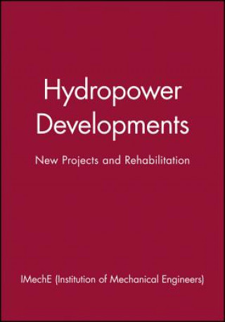 Buch Hydropower Developments IMechE