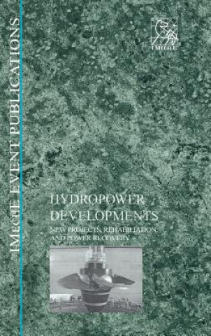 Kniha Hydropower IMechE (Institution of Mechanical Engineers)