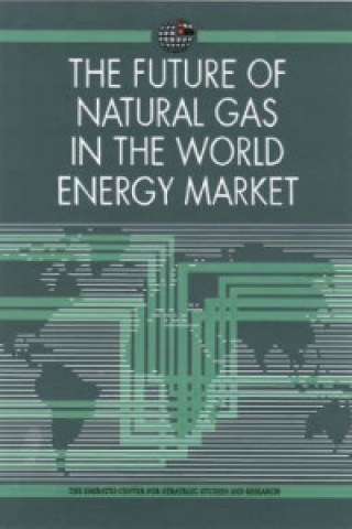 Buch Future of Natural Gas in the World Energy Market The Emirates Centre for Strategic Studies and Research