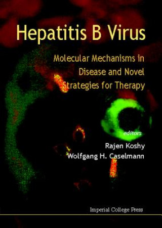 Book Hepatitis B Virus: Molecular Mechanisms In Disease And Novel Strategies For Therapy Koshy Rajen