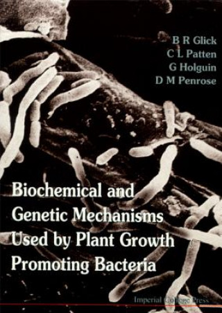 Kniha Biochemical And Genetic Mechanisms Used By Plant Growth Promoting Bacteria Bernard Glick