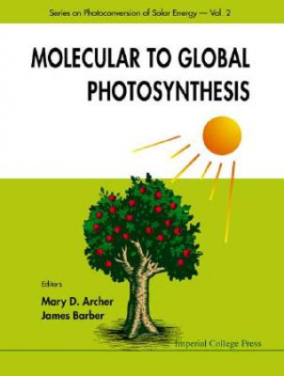 Kniha Molecular To Global Photosynthesis Mary D. Archer