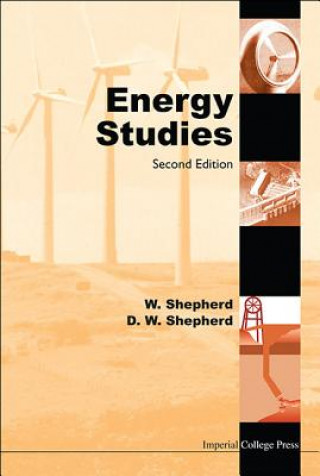 Książka Energy Studies (2nd Edition) William Shepherd