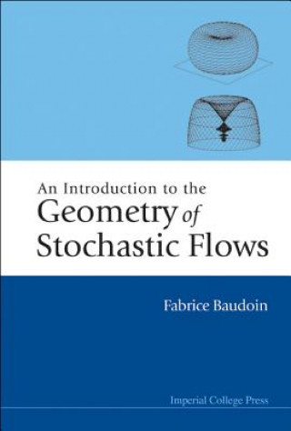 Kniha Introduction To The Geometry Of Stochastic Flows, An Fabrice Baudoin