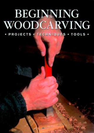 Könyv Beginning Woodcarving Of Master Craftsman Guild