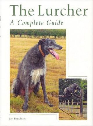 Carte Lurcher Jon Hutcheon