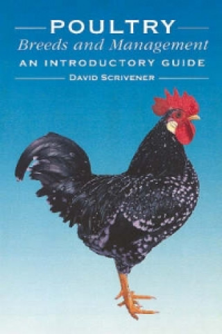 Kniha Poultry Breeds and Management David Scrivener