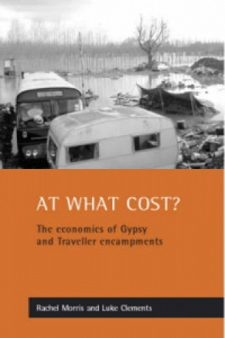 Kniha At what cost? Rachel Morris