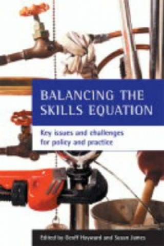 Kniha Balancing the skills equation Susan James