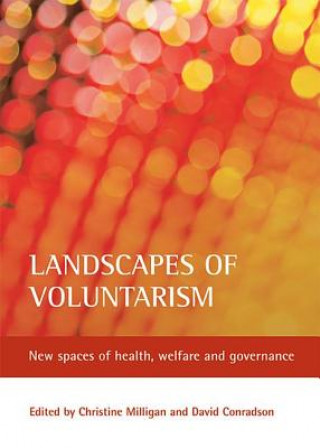 Könyv Landscapes of voluntarism Christine Milligan