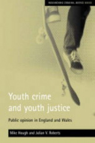 Książka Youth crime and youth justice Mike Hough